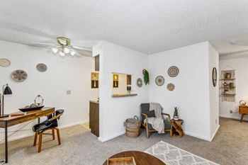Ceiling fan
